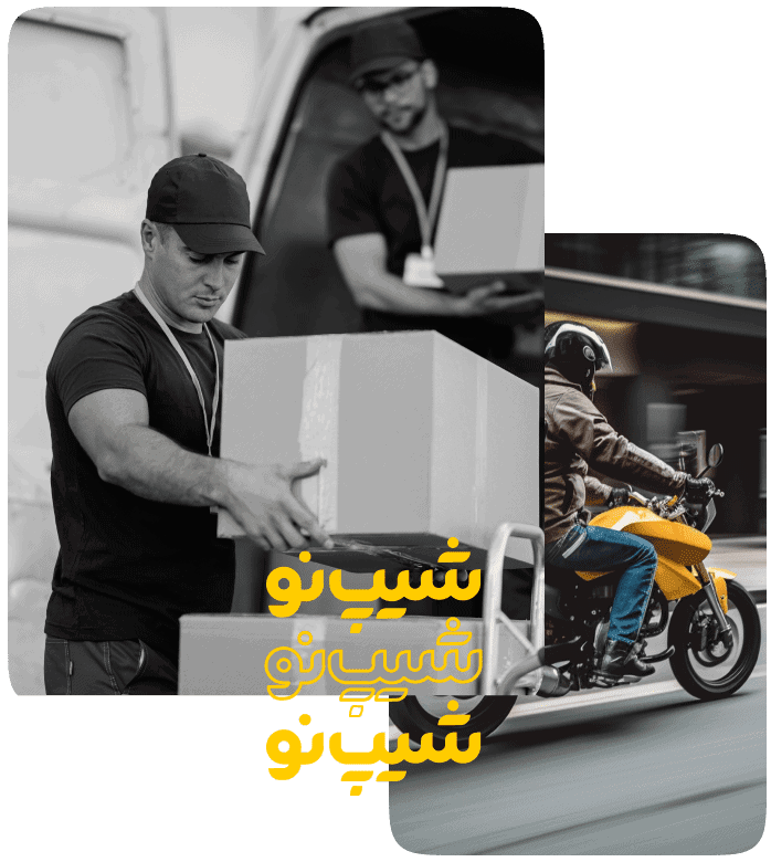 باربری شیپ نو